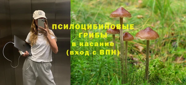 эйфоретик Баксан